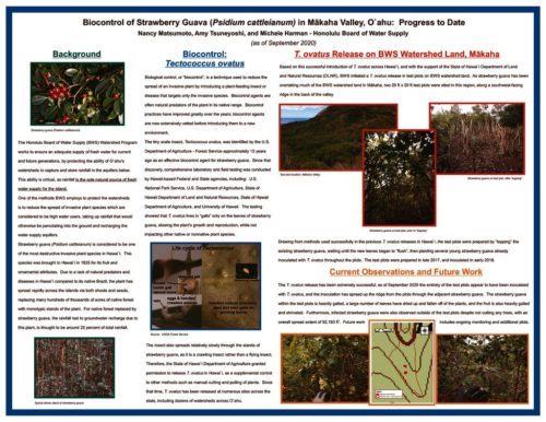 thumbnail of #11 Nancy Matsumoto – Biocontrol of Strawberry