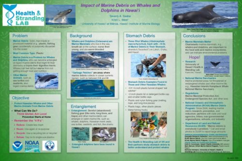 thumbnail of #155 Beverly Beebe – Impact of Marine Debris