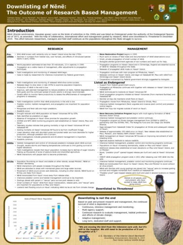 thumbnail of #187 Cathleen Bailey – Downlisting of Nene