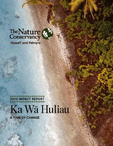 thumbnail of 2020 TNC-Hawaii-Palmyra-Impact-Report