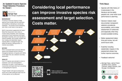 thumbnail of #214 Springer Kaye – An Updated Invasive