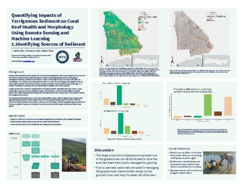 thumbnail of #24. L. Kalaʻi Ellis – Quantifying Impacts