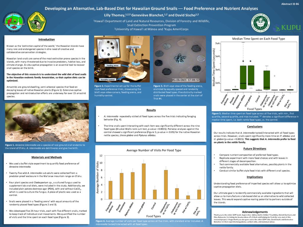 thumbnail of #86 Lilly Thomey – Developing an Alternative