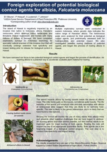 thumbnail of #89 Ellyn Bitume – Exploration of Potential