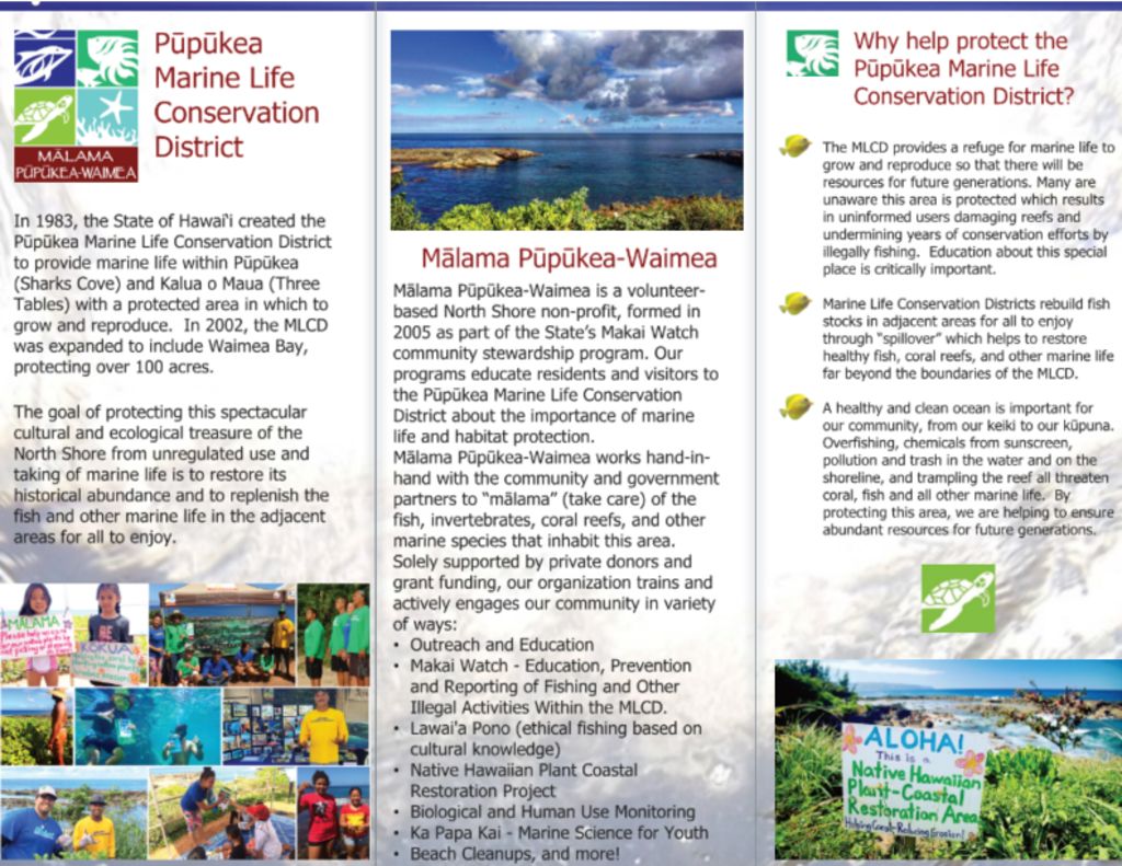 thumbnail of MPW Brochure Back