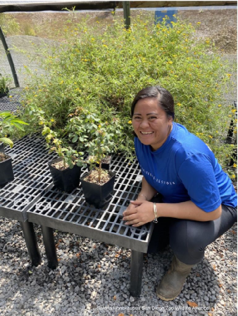 thumbnail of PHOTO4_revised