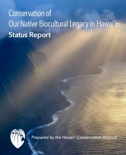 thumbnail 2025 final SOCR