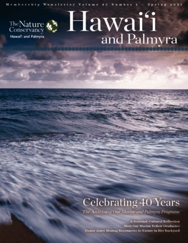 thumbnail of TNC 2021-Spring