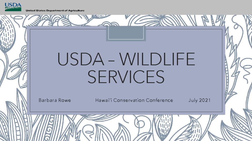 thumbnail of WS Program overview – HCC 2021