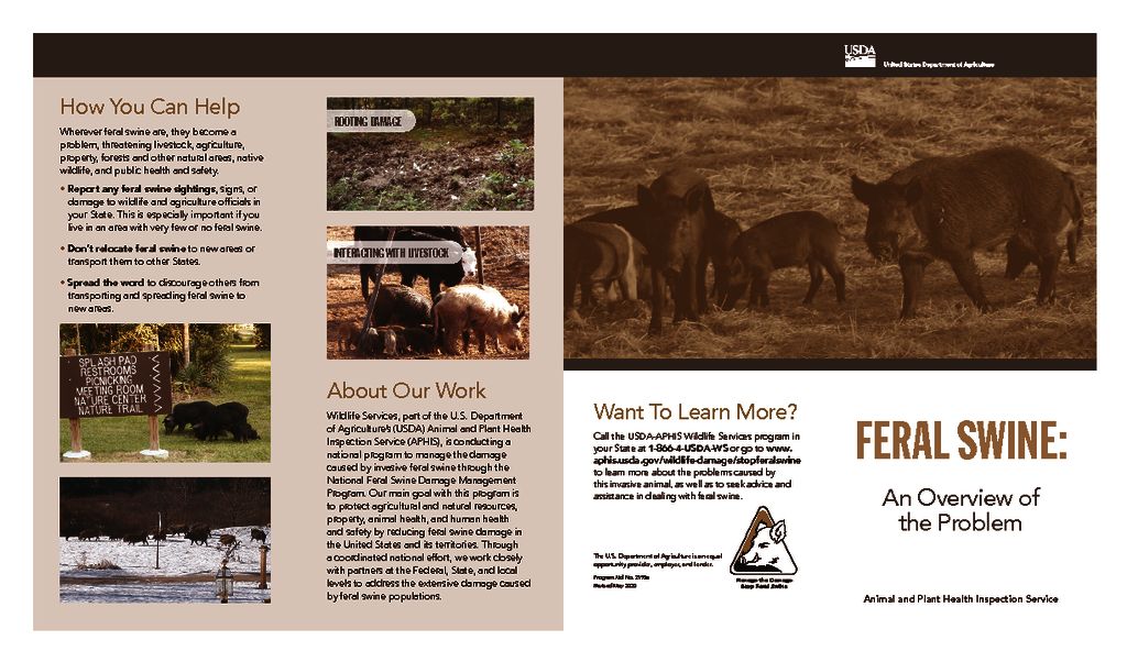 thumbnail of bro-feral-swine-overview