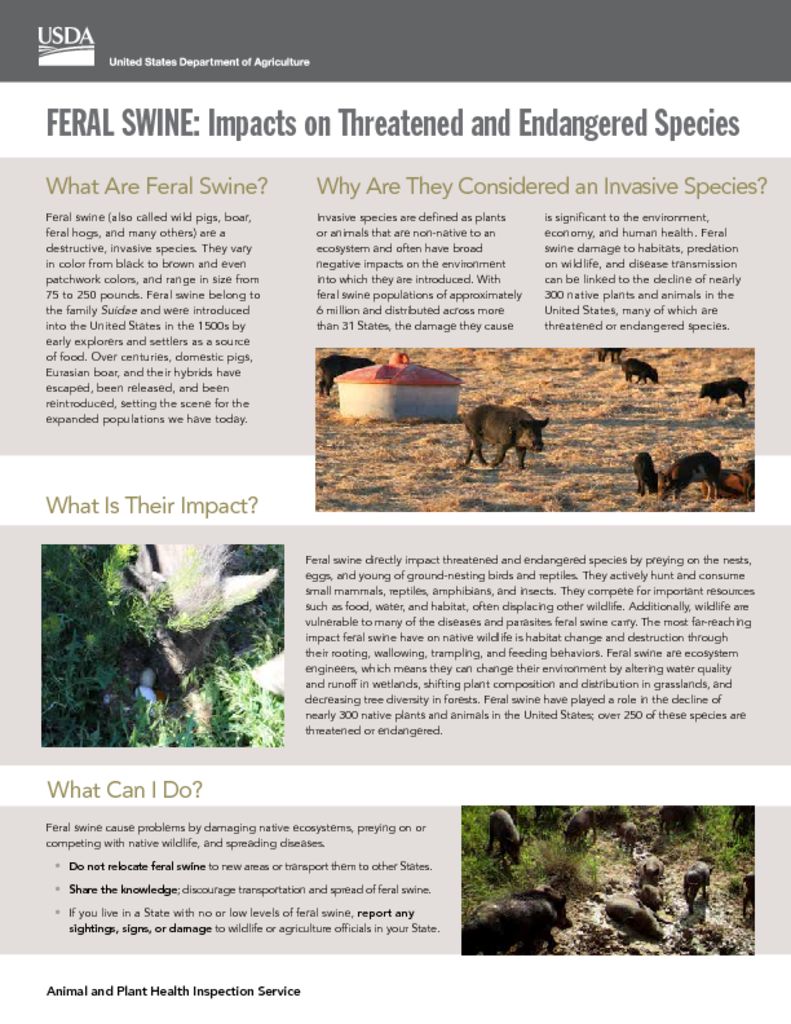 thumbnail of fsc-feral-swine-impacts-tes