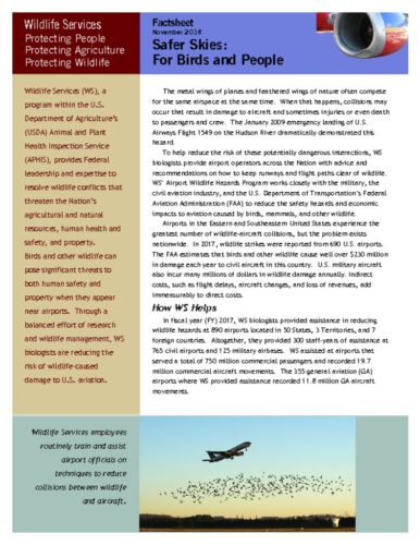 thumbnail of fsc-safer-skies