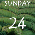 Sunday