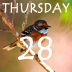 Thursday