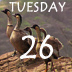 Tuesday