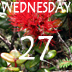 Wednesday
